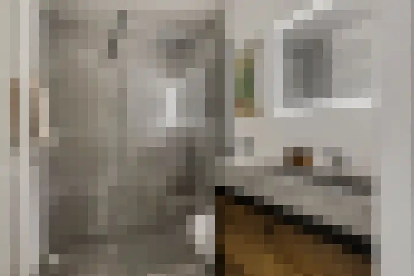 Reigerlaan 17 Ursem thumbnail 5