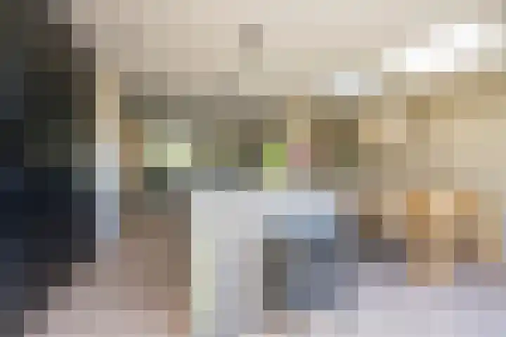 Reigerlaan 19 Nijkerk thumbnail 12