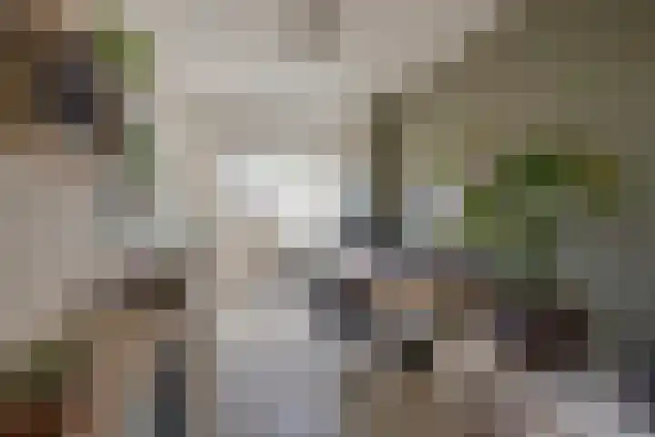 Reigerlaan 19 Nijkerk thumbnail 19