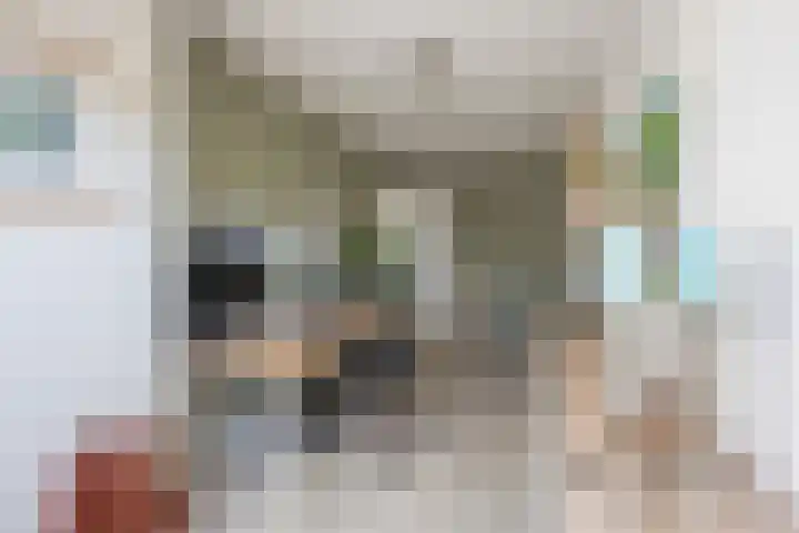 Reigerlaan 19 Nijkerk thumbnail 20
