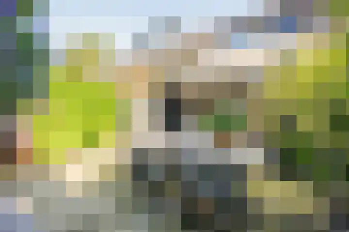 Reigerlaan 19 Nijkerk thumbnail 30