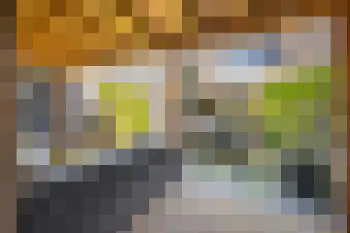 Reigerlaan 19 Nijkerk thumbnail 31