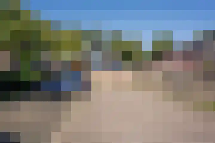 Reigerlaan 19 Nijkerk thumbnail 32