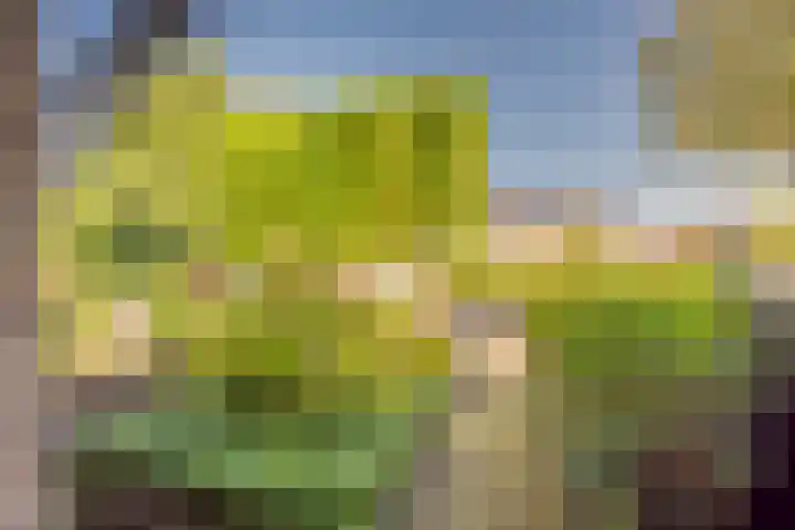 Reigerlaan 19 Nijkerk thumbnail 34