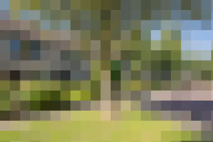 Reigerlaan 19 Nijkerk thumbnail 35