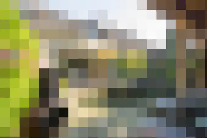 Reigerlaan 19 Nijkerk thumbnail 4