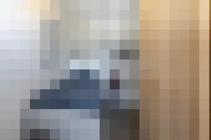Reigerlaan 194 Sliedrecht thumbnail 13