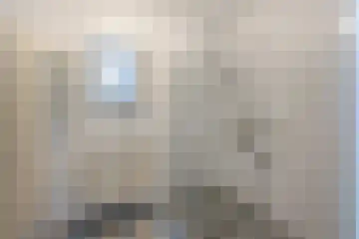 Reigerlaan 194 Sliedrecht thumbnail 14