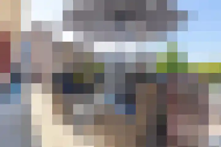 Reigerlaan 194 Sliedrecht thumbnail 18