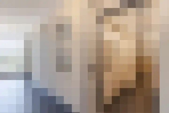Reigerlaan 194 Sliedrecht thumbnail 22