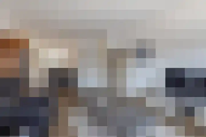 Reigerlaan 194 Sliedrecht thumbnail 5