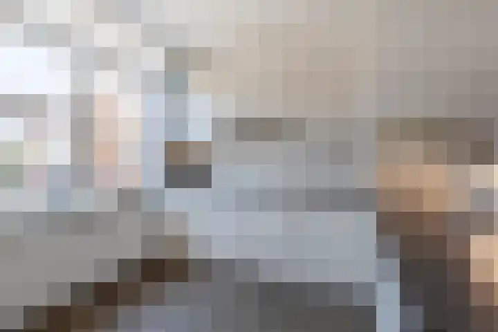 Reigerlaan 194 Sliedrecht thumbnail 6