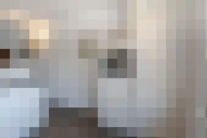 Reigerlaan 194 Sliedrecht thumbnail 8