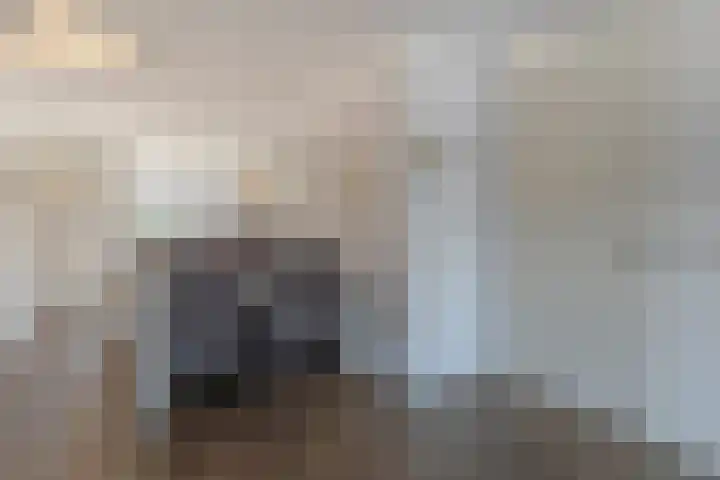 Reigerlaan 194 Sliedrecht thumbnail 9