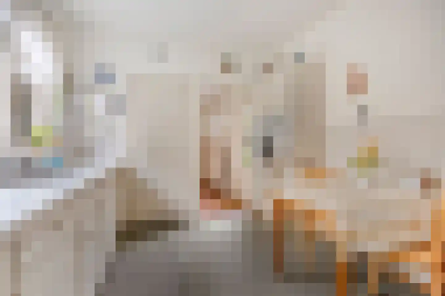 Reigerlaan 2 Beek en Donk thumbnail 16