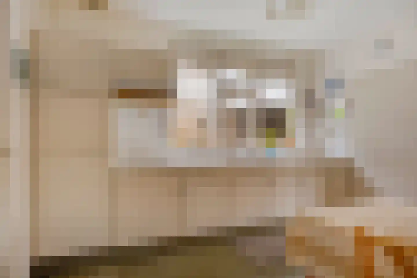 Reigerlaan 2 Beek en Donk thumbnail 18
