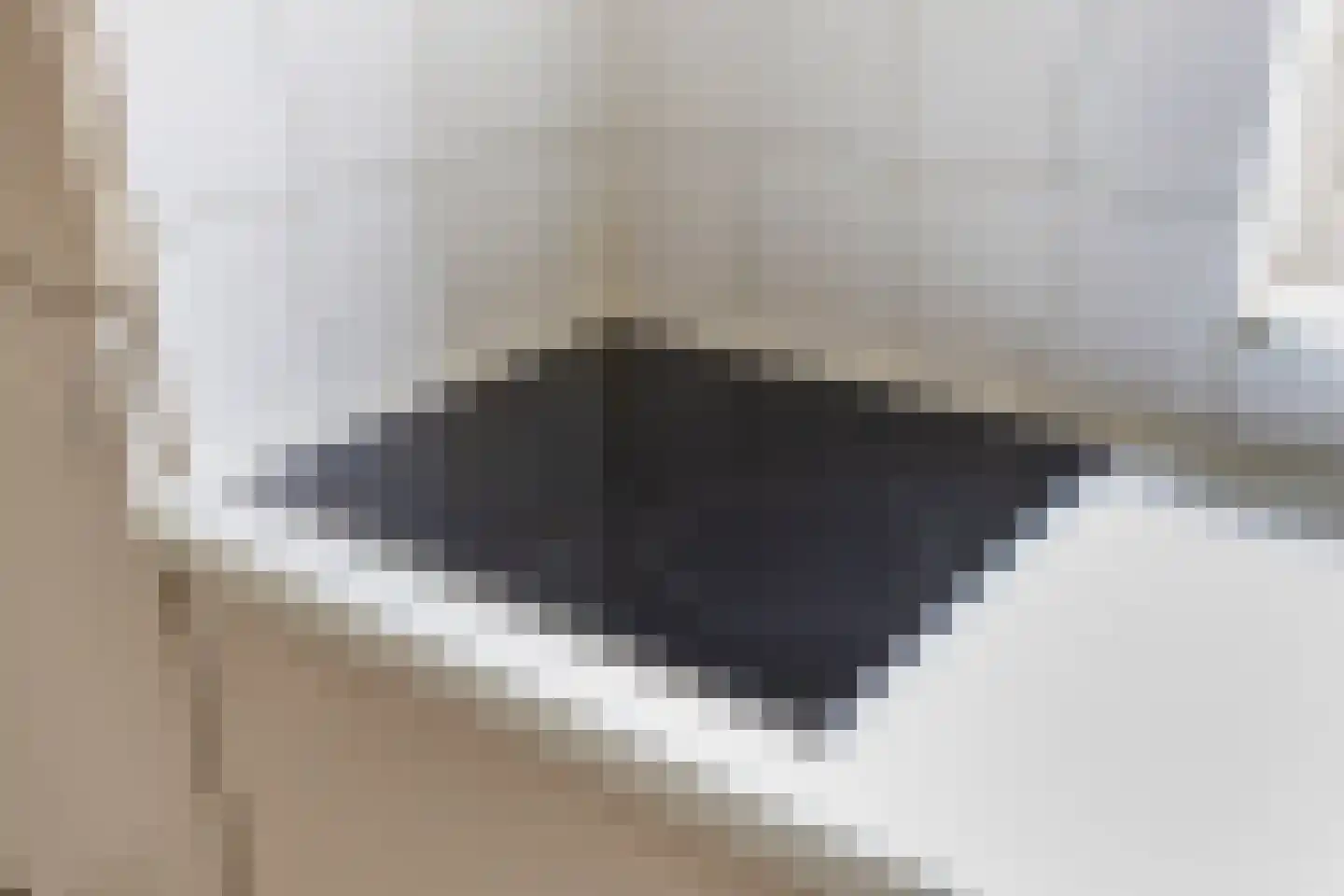 Reigerlaan 2 Beek en Donk thumbnail 19