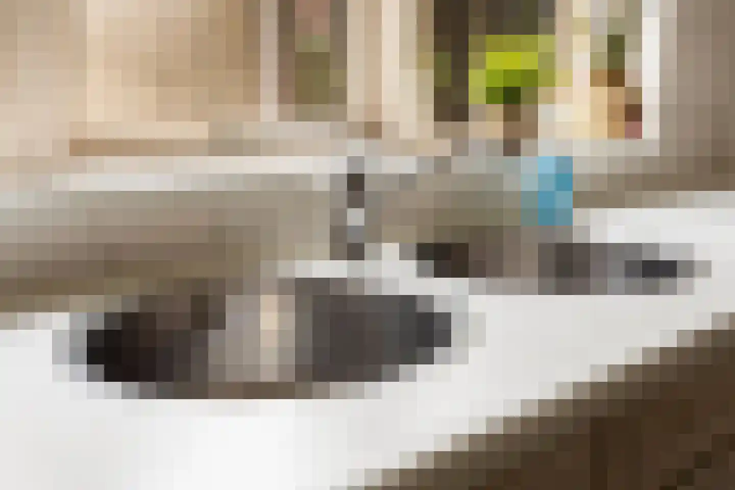 Reigerlaan 2 Beek en Donk thumbnail 20