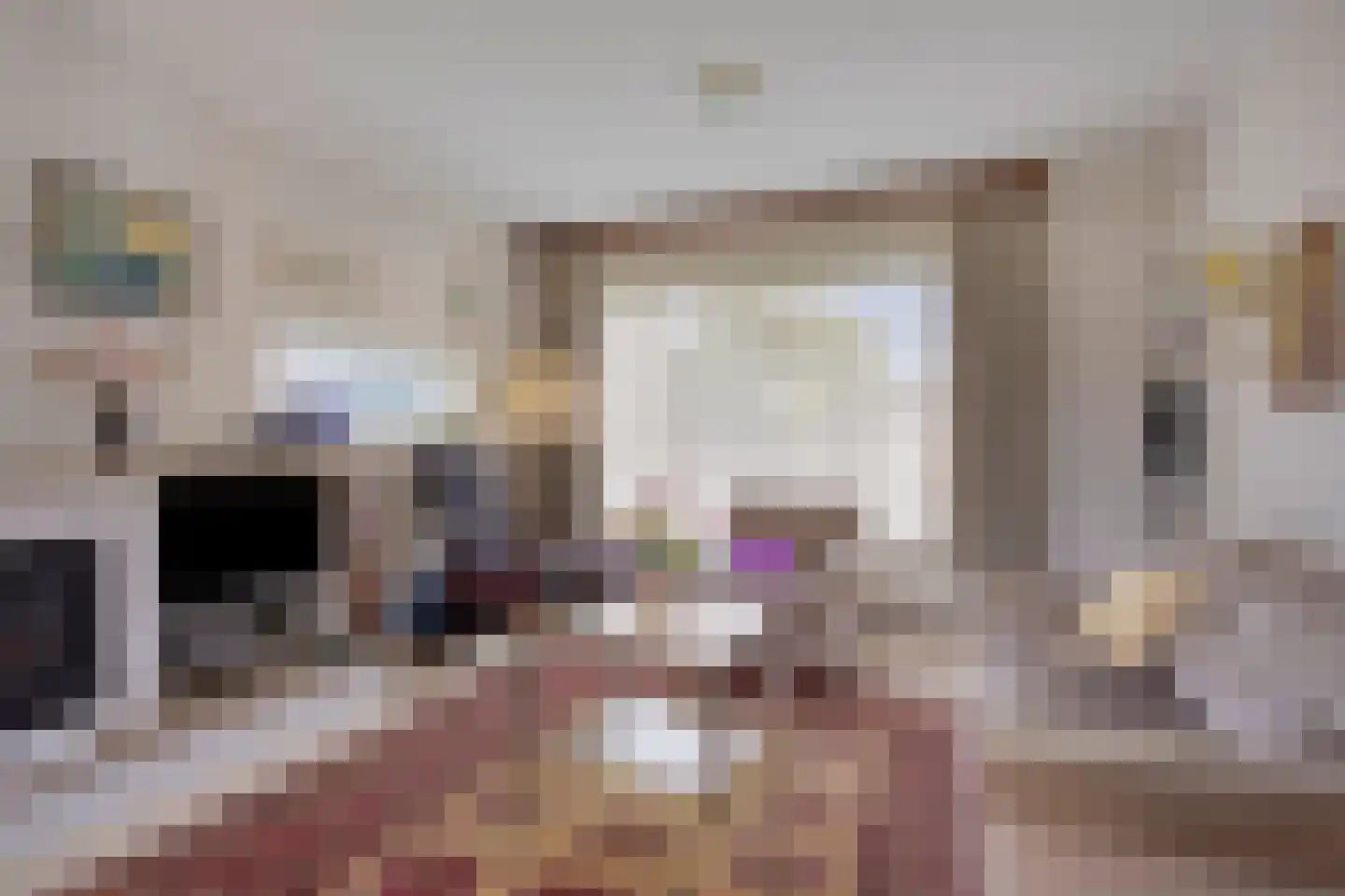 Reigerlaan 2 Beek en Donk thumbnail 22