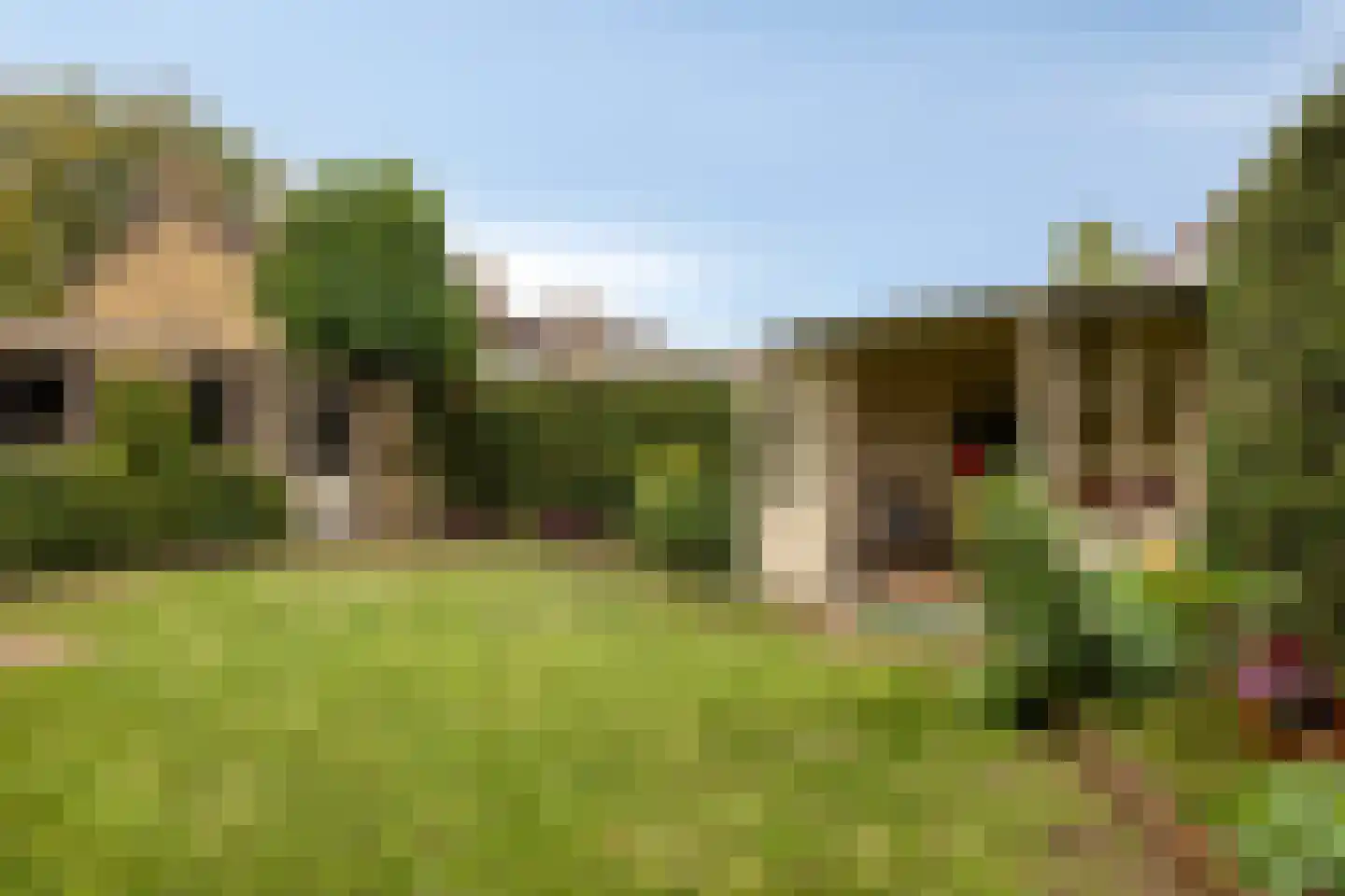 Reigerlaan 2 Beek en Donk thumbnail 48