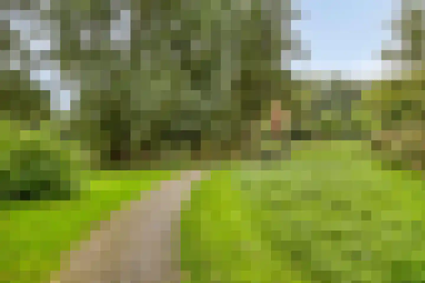 Reigerlaan 2 Beek en Donk thumbnail 52
