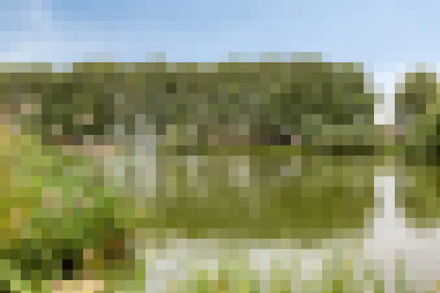 Reigerlaan 2 Beek en Donk thumbnail 53