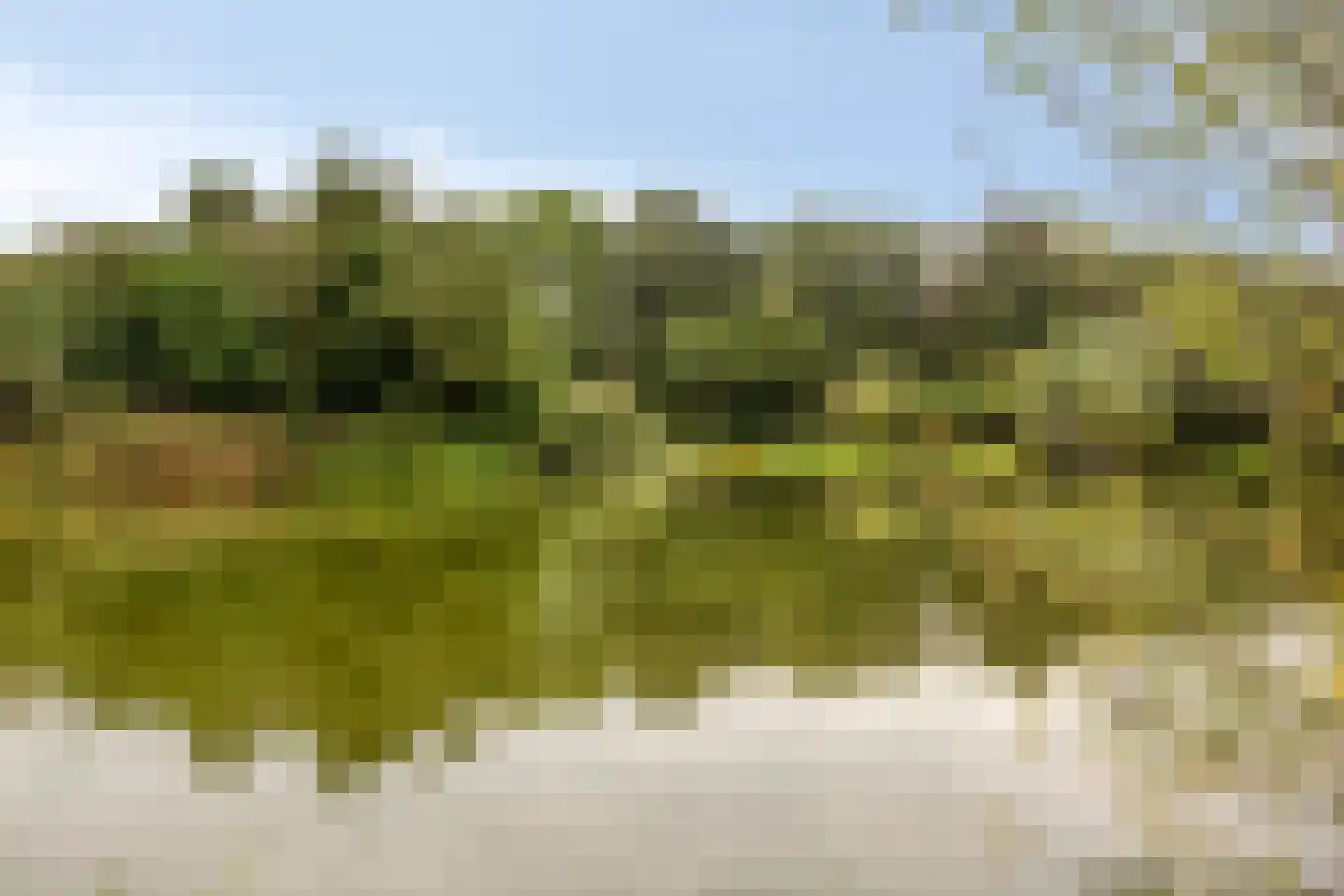 Reigerlaan 2 Beek en Donk thumbnail 54