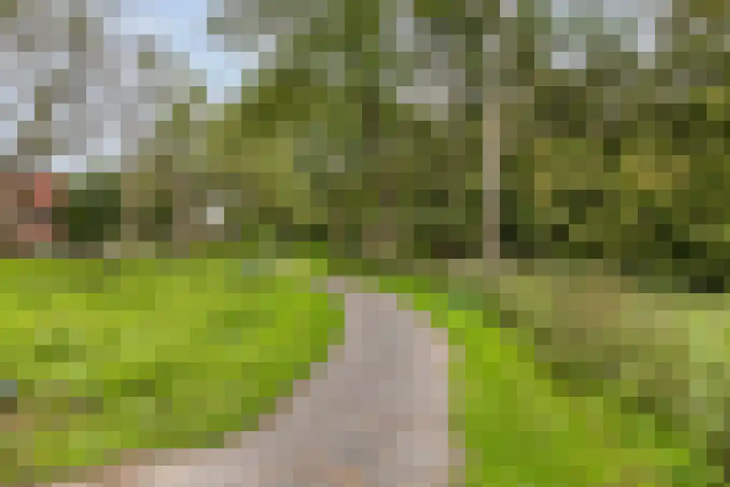 Reigerlaan 2 Beek en Donk thumbnail 55