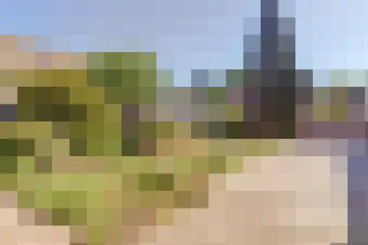 Reigerlaan 21 Baarle-Nassau thumbnail 32