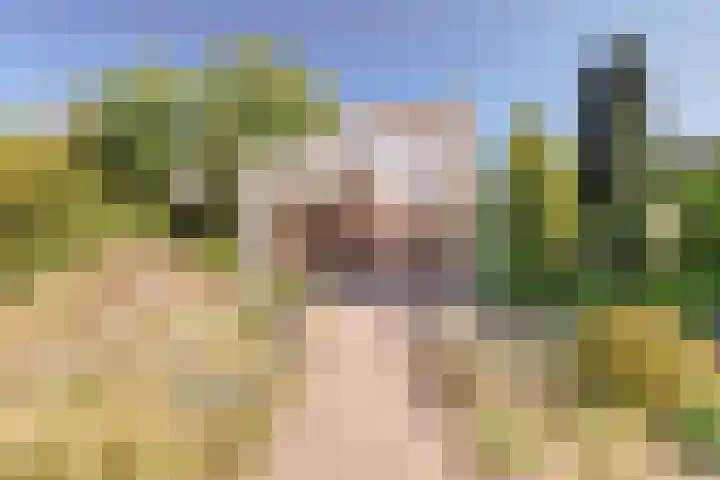Reigerlaan 21 Baarle-Nassau thumbnail 34