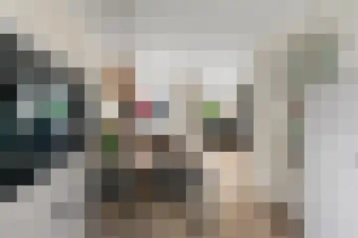 Reigerlaan 22 Bilthoven thumbnail 11