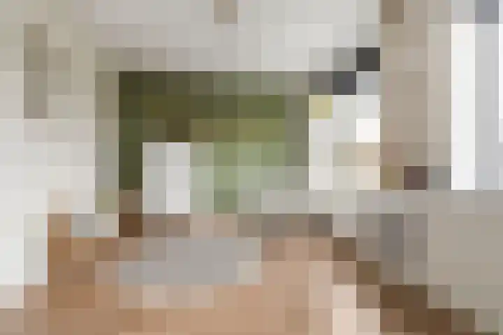 Reigerlaan 22 Bilthoven thumbnail 19