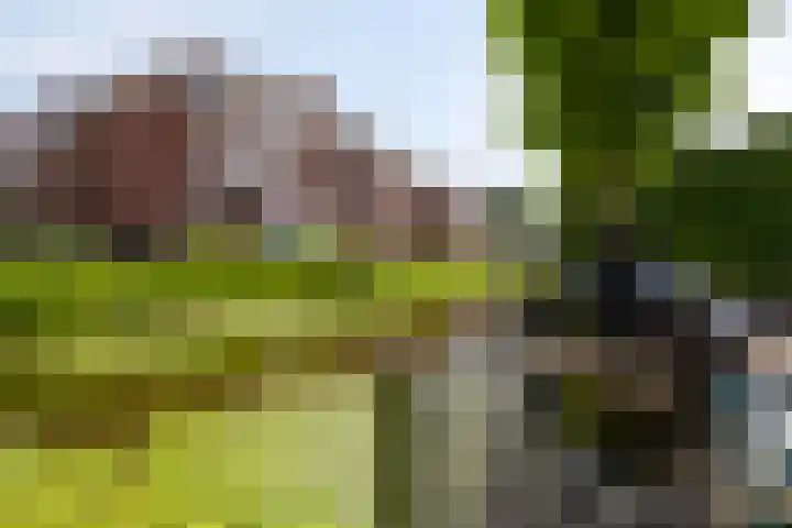 Reigerlaan 22 Heemstede thumbnail 35