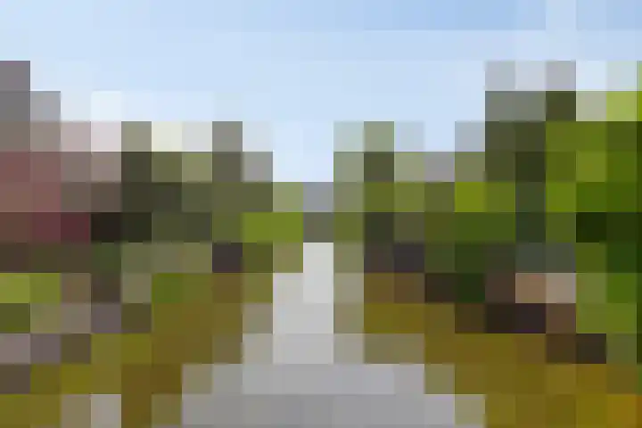 Reigerlaan 22 Heemstede thumbnail 36