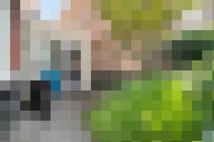 Reigerlaan 22 Heemstede thumbnail 4