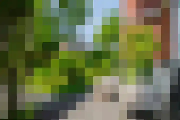 Reigerlaan 22 Heemstede thumbnail 5