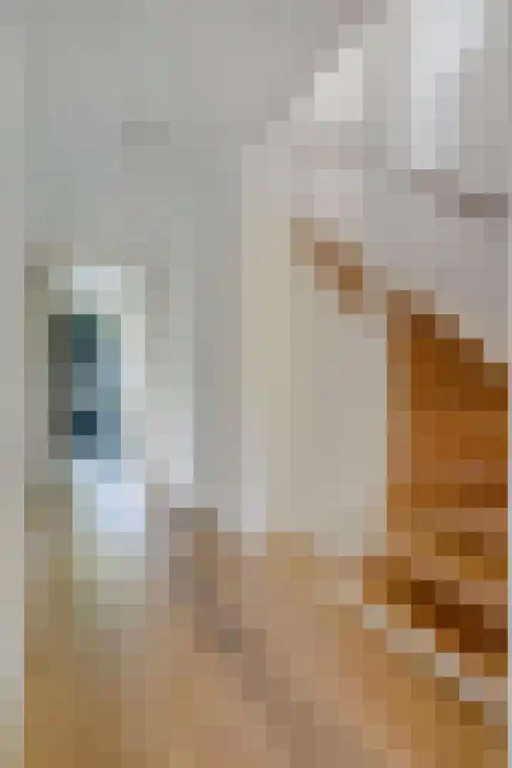 Reigerlaan 22 Heemstede thumbnail 8
