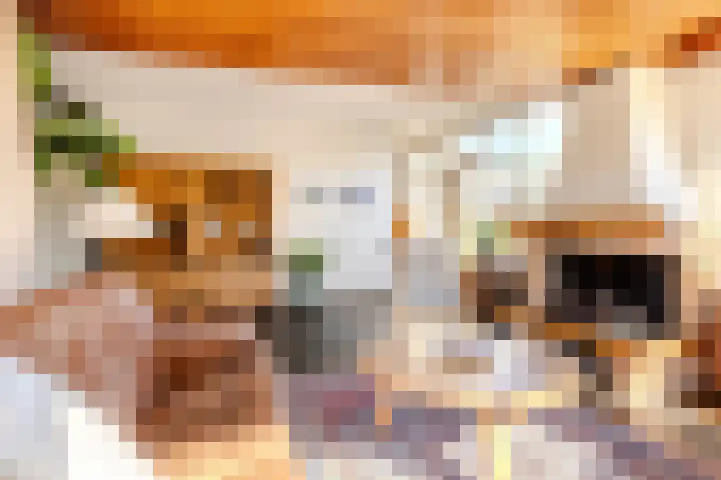 Reigerlaan 22 Paterswolde thumbnail 14
