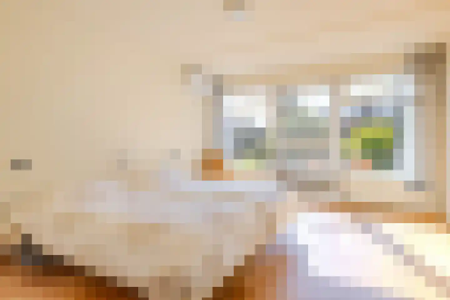 Reigerlaan 22 Paterswolde thumbnail 23