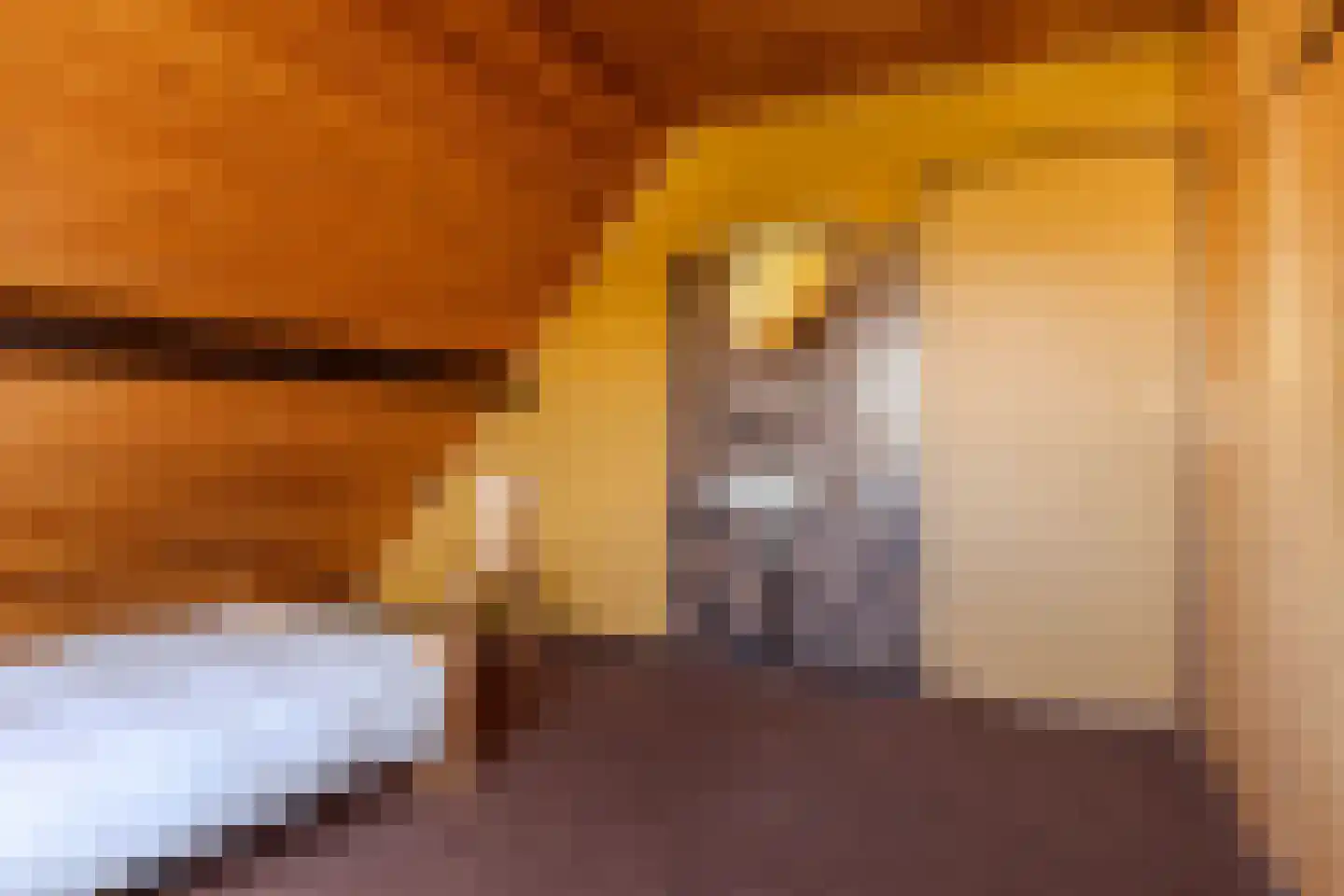 Reigerlaan 22 Paterswolde thumbnail 29