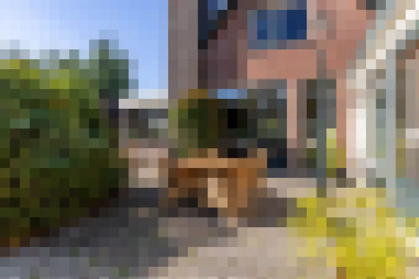 Reigerlaan 22 Paterswolde thumbnail 34