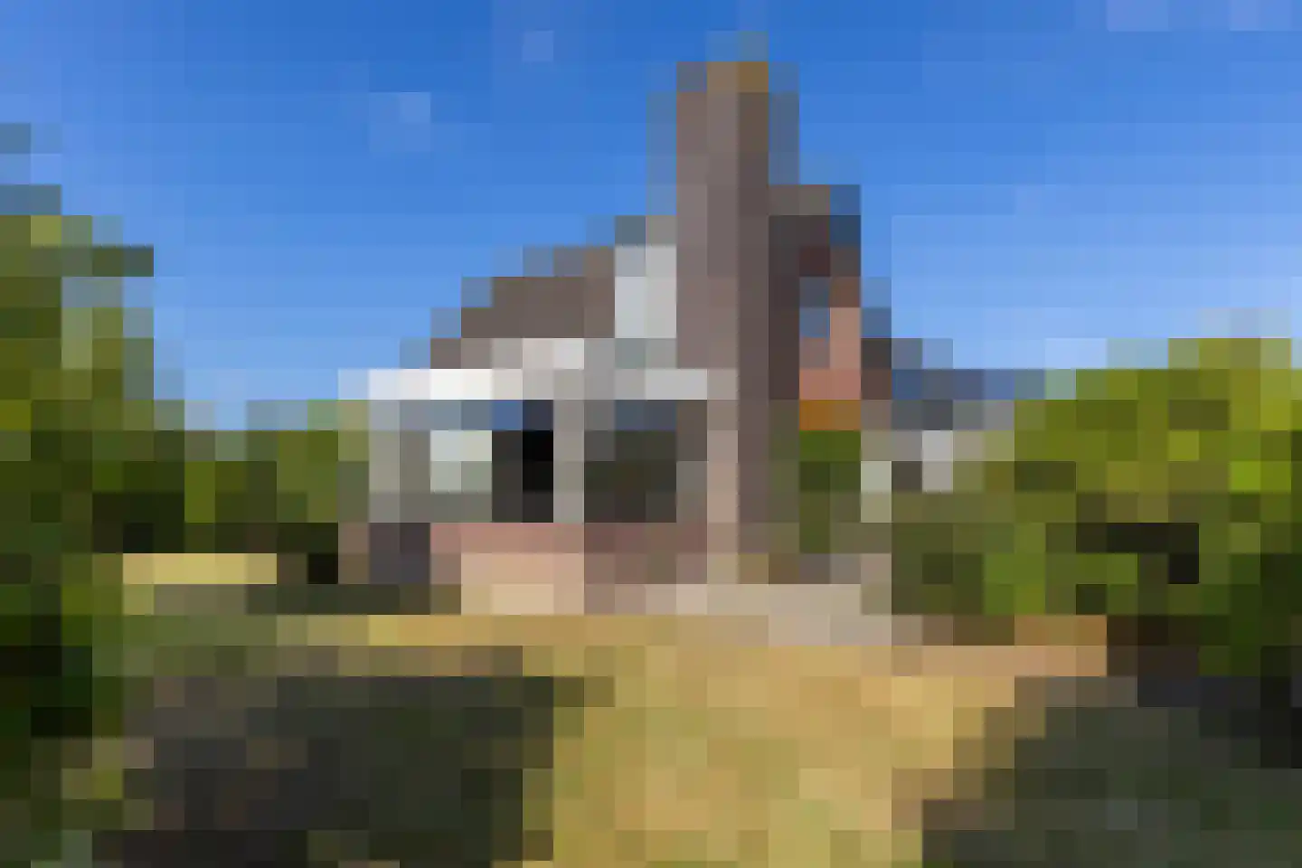 Reigerlaan 22 Paterswolde thumbnail 39
