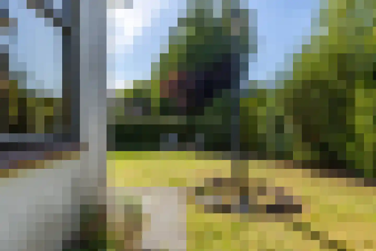 Reigerlaan 22 Paterswolde thumbnail 42