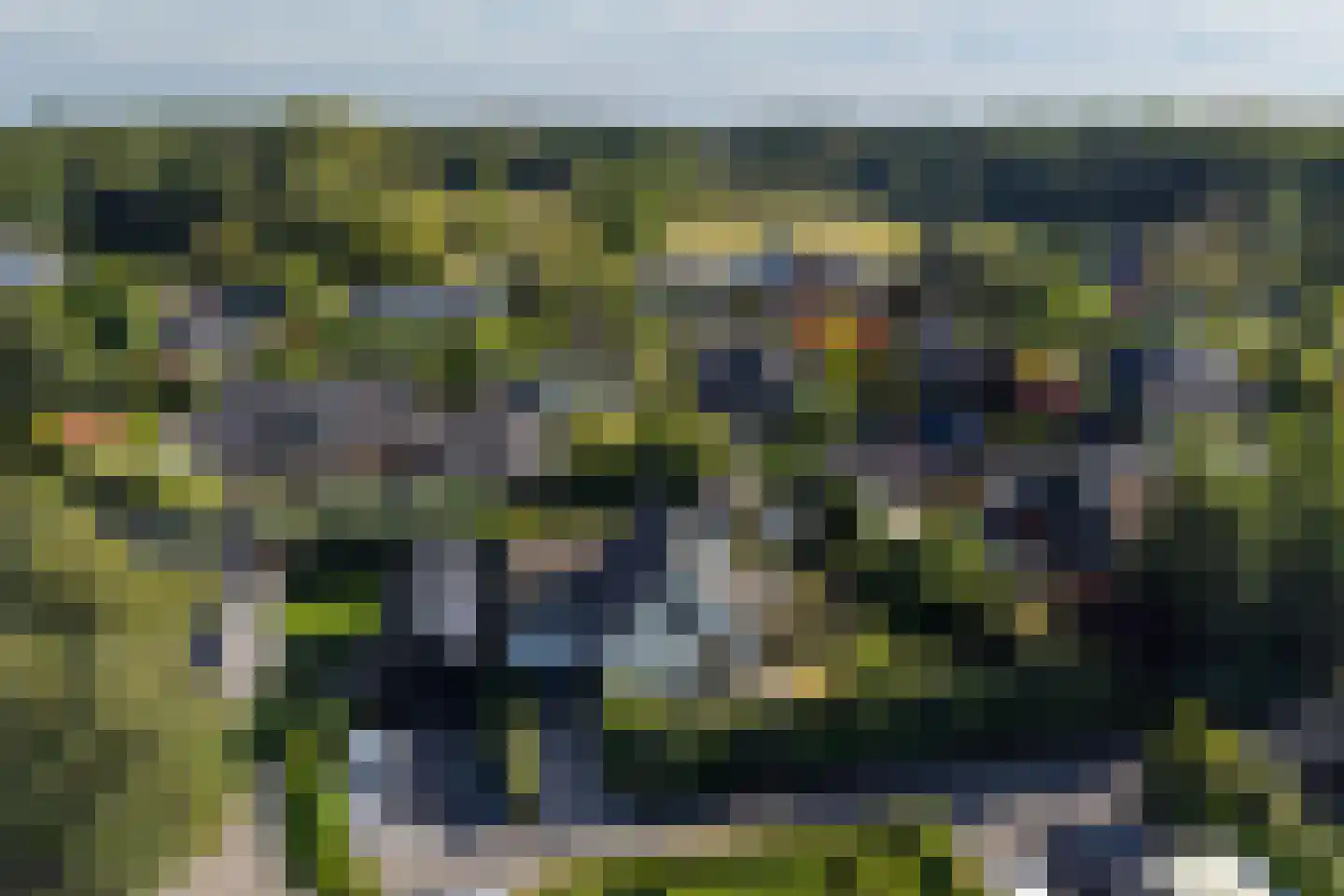 Reigerlaan 22 Paterswolde thumbnail 47