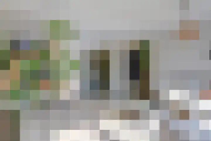Reigerlaan 23 Lekkerkerk thumbnail 11