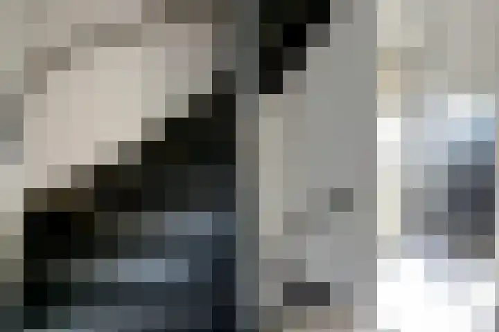 Reigerlaan 23 Lekkerkerk thumbnail 17