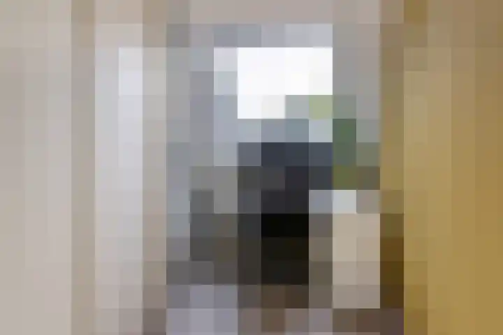 Reigerlaan 23 Lekkerkerk thumbnail 18