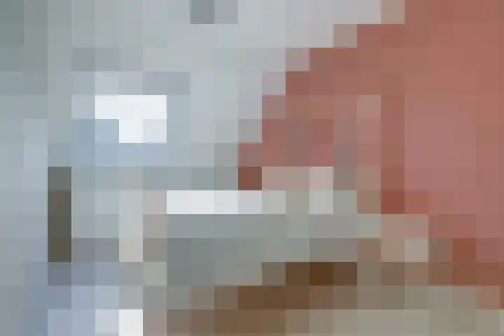 Reigerlaan 23 Lekkerkerk thumbnail 19