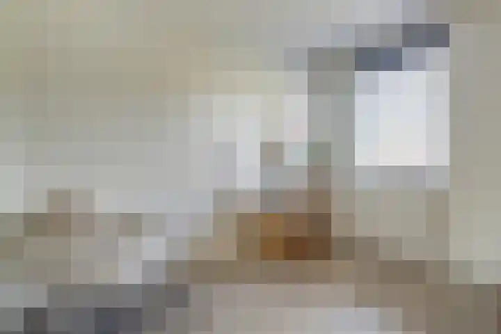 Reigerlaan 23 Lekkerkerk thumbnail 24