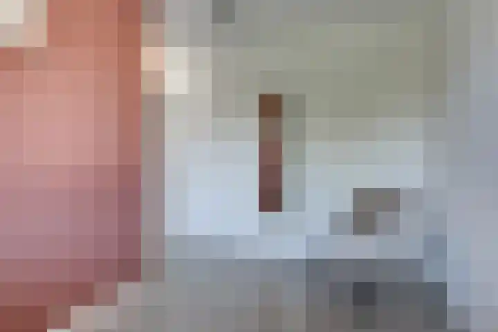 Reigerlaan 23 Lekkerkerk thumbnail 25